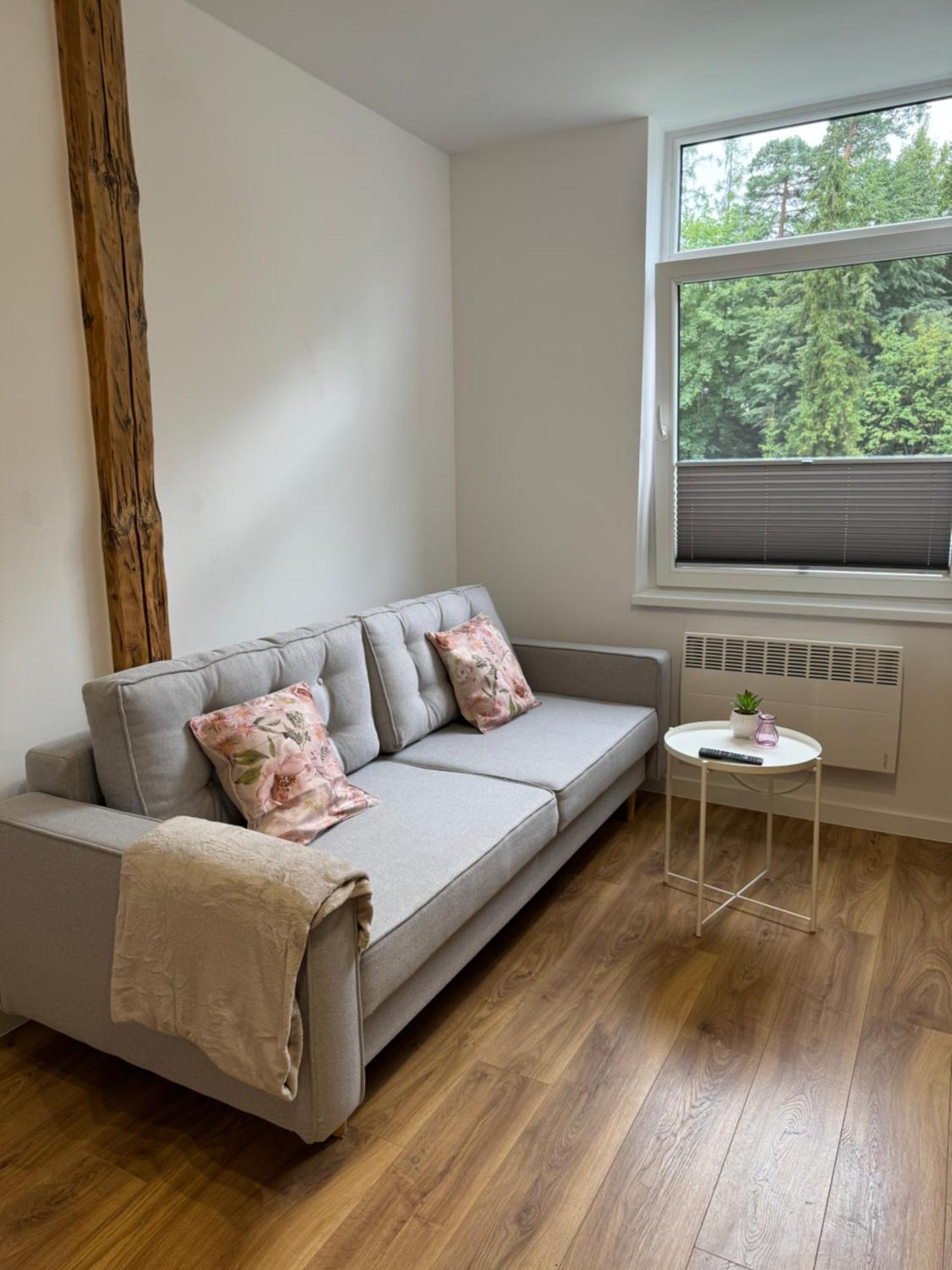 Apartament 2 Willa Bellevue Rabka Zewnętrze zdjęcie